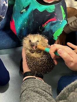Bild "schulleben_highlights_Igel_5.JPG"